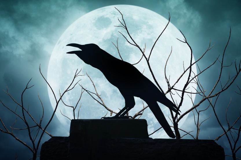 Crow sitting on the rock and croaks against full moon